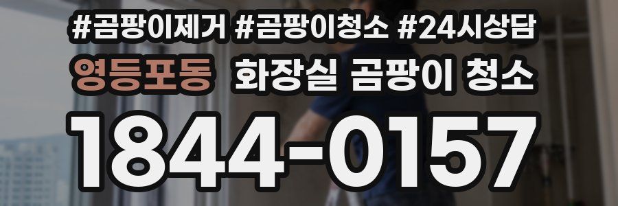 영등포동 화장실 곰팡이 청소