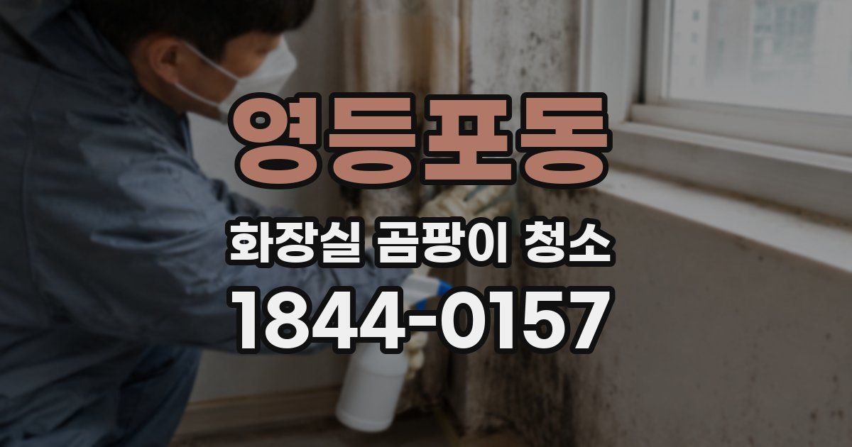 영등포동 화장실 곰팡이 청소