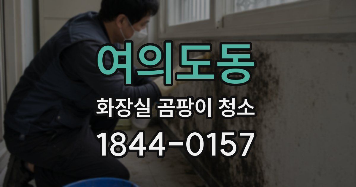 여의도동 화장실 곰팡이 청소