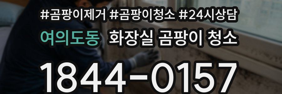 여의도동 화장실 곰팡이 청소