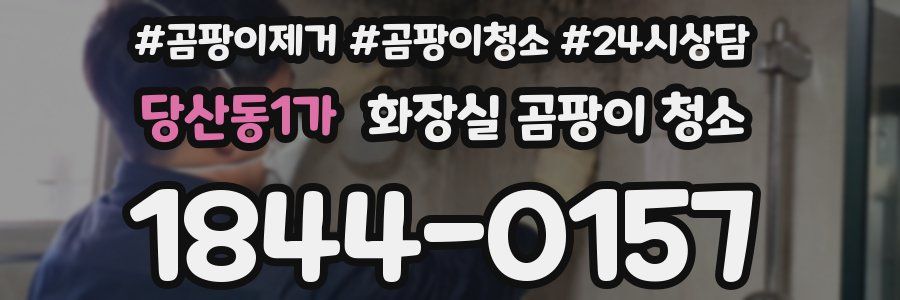 당산동1가 화장실 곰팡이 청소