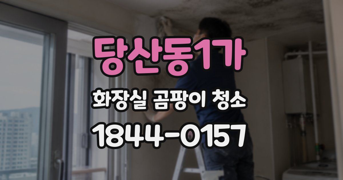 당산동1가 화장실 곰팡이 청소