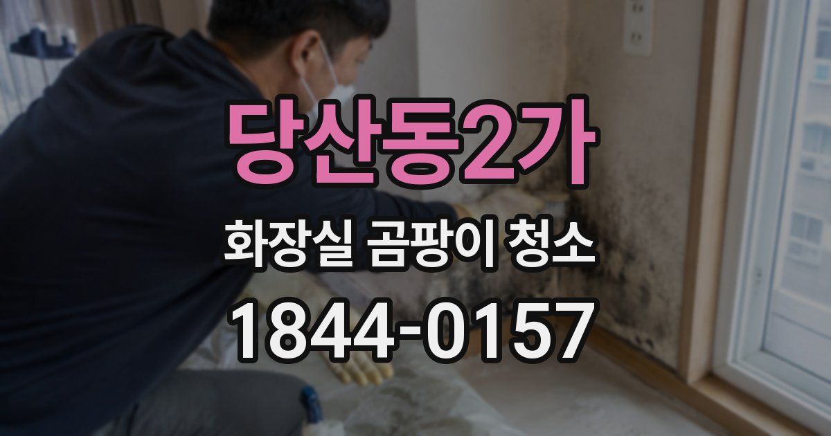당산동2가 화장실 곰팡이 청소