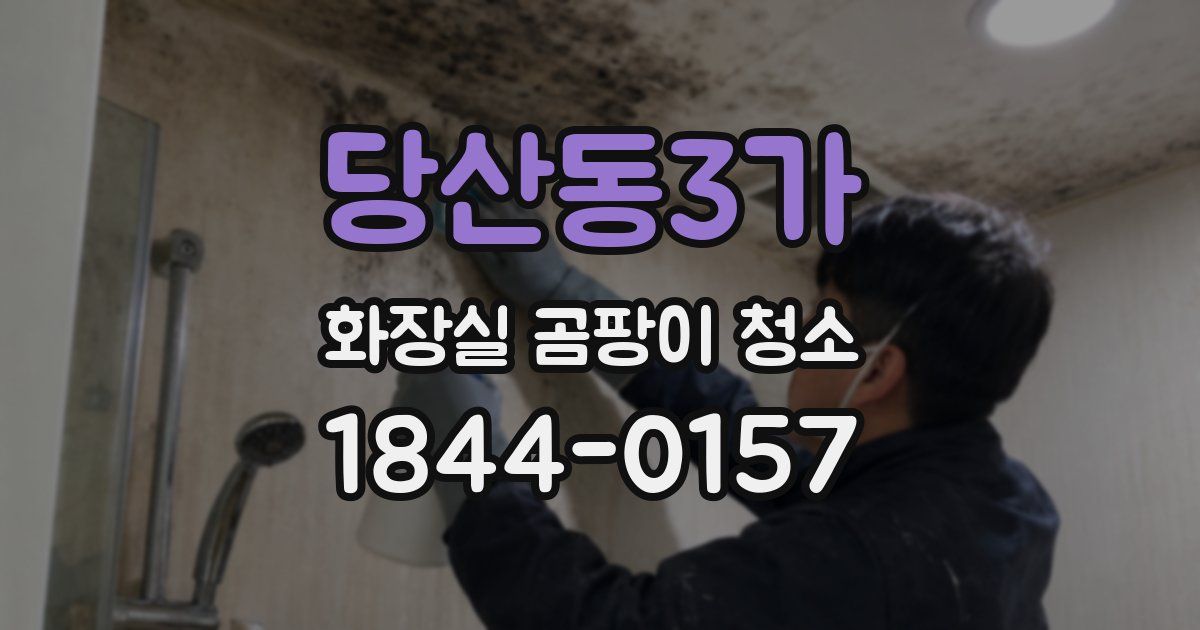 당산동3가 화장실 곰팡이 청소