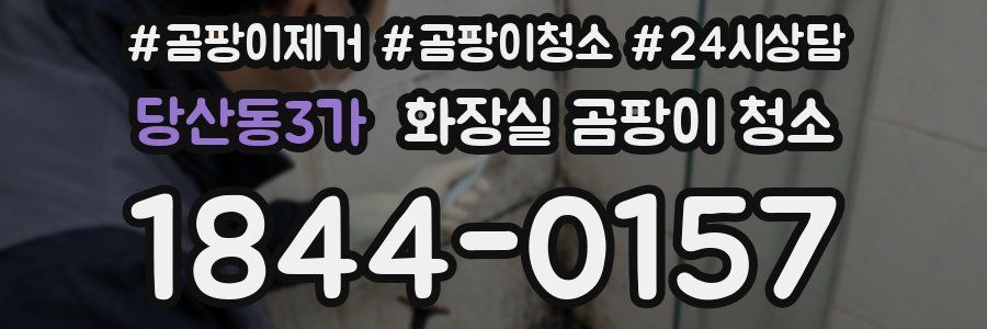 당산동3가 화장실 곰팡이 청소