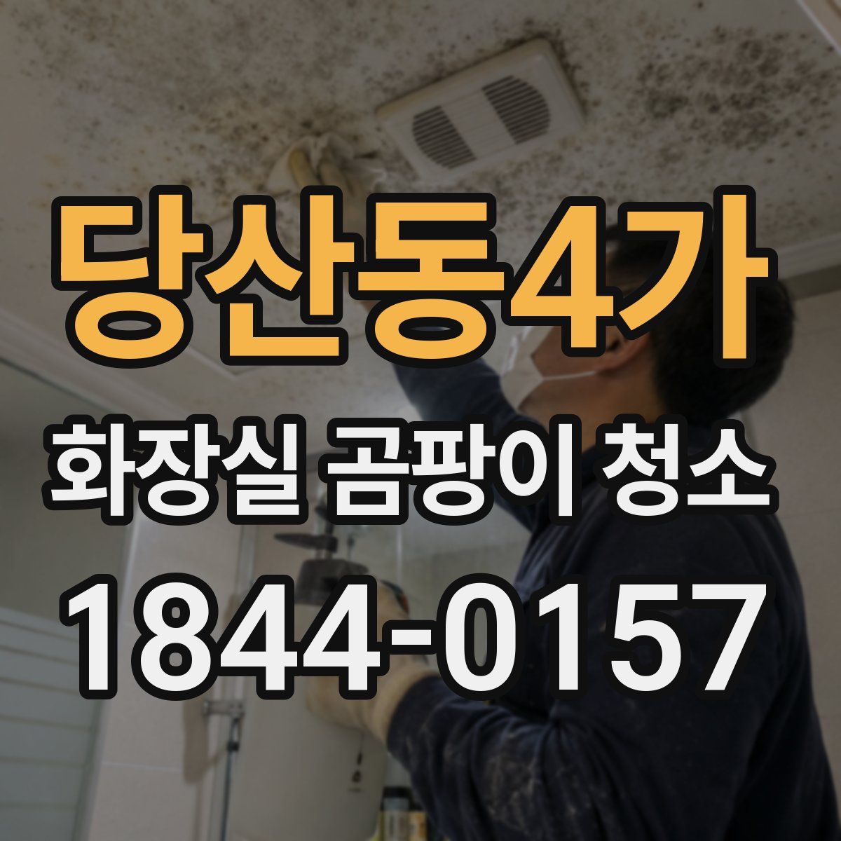 당산동4가 화장실 곰팡이 청소