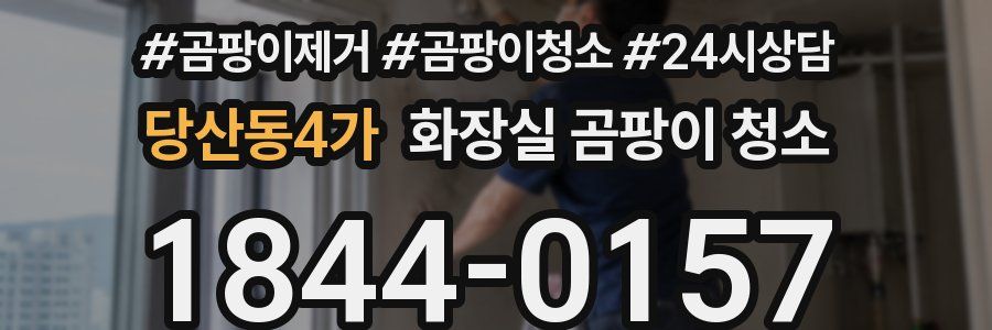 당산동4가 화장실 곰팡이 청소