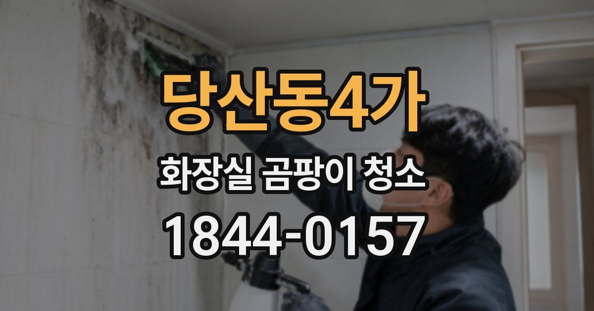 당산동4가 화장실 곰팡이 청소