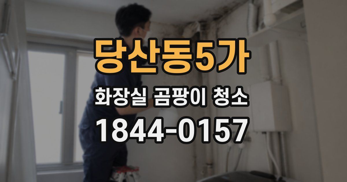 당산동5가 화장실 곰팡이 청소