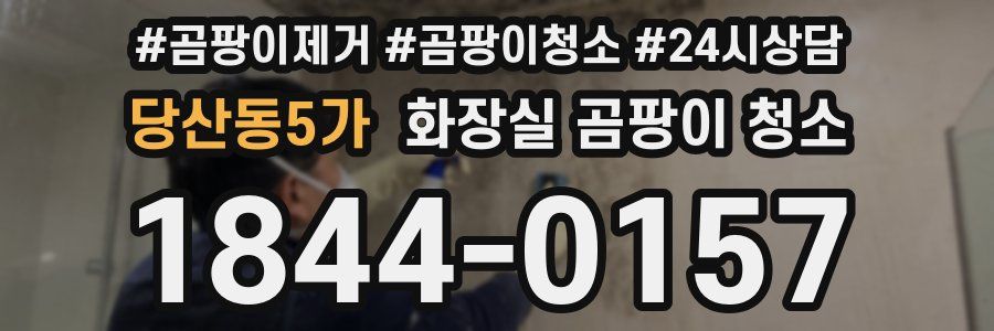 당산동5가 화장실 곰팡이 청소