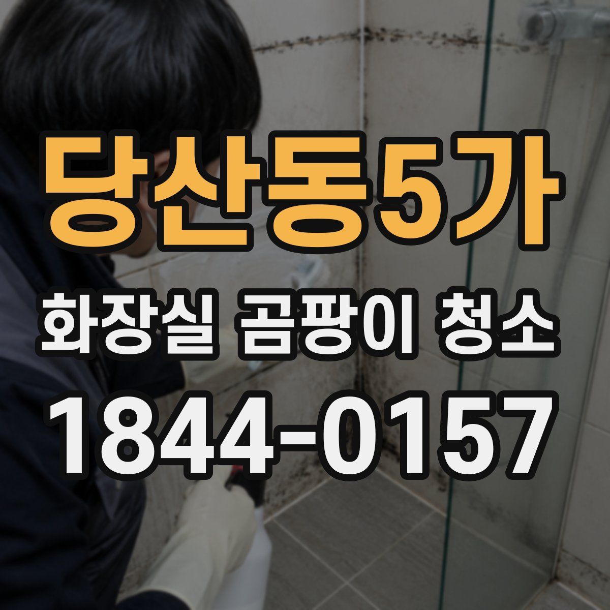 당산동5가 화장실 곰팡이 청소