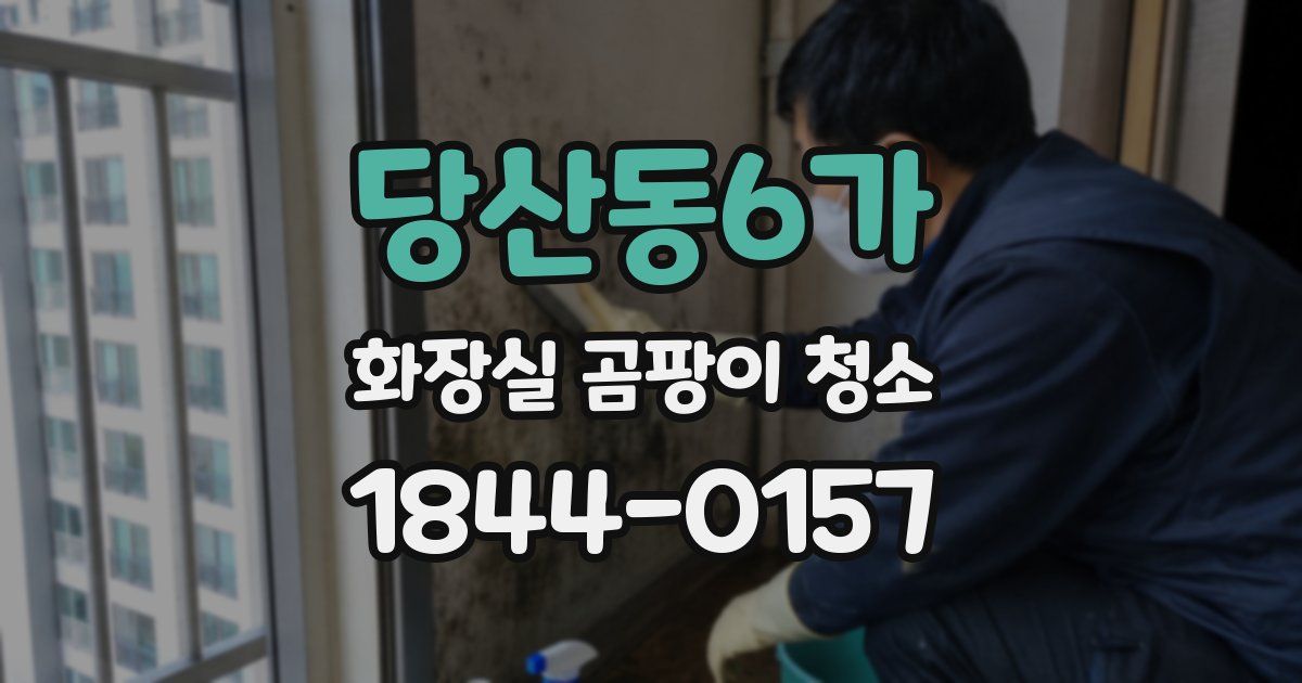 당산동6가 화장실 곰팡이 청소