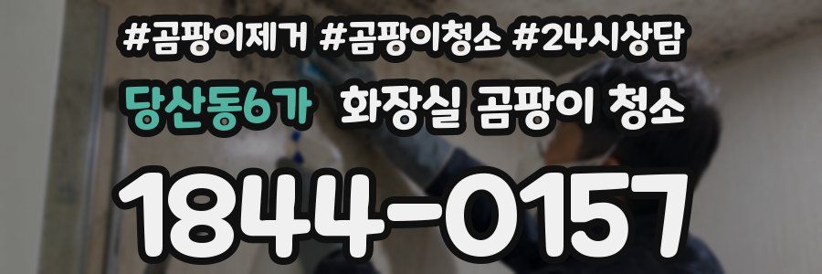 당산동6가 화장실 곰팡이 청소
