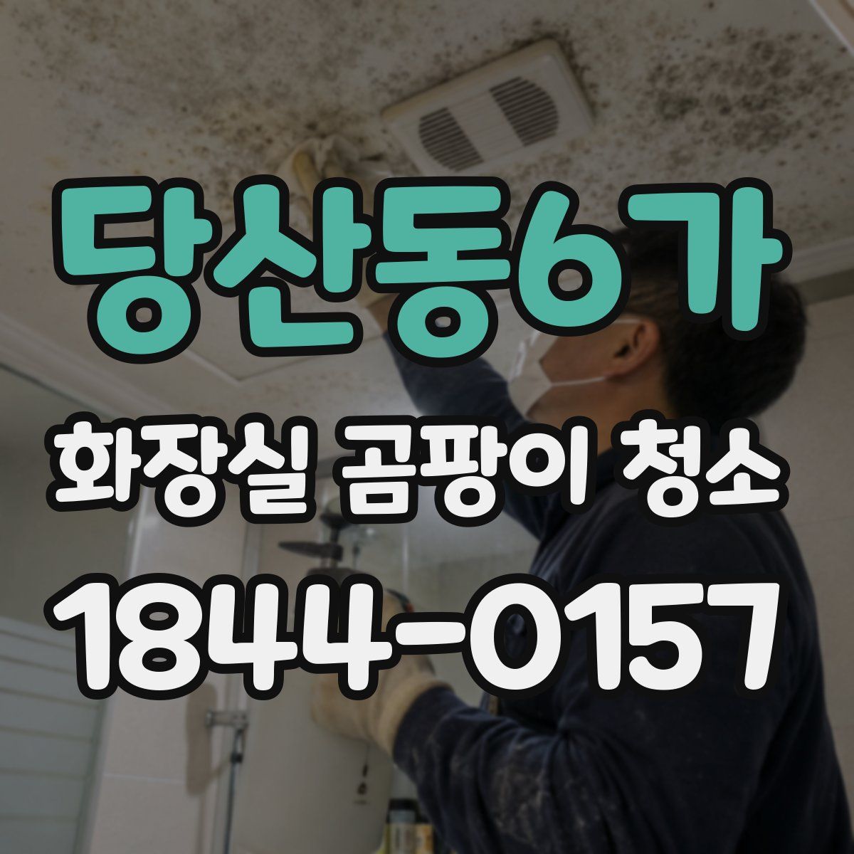 당산동6가 화장실 곰팡이 청소