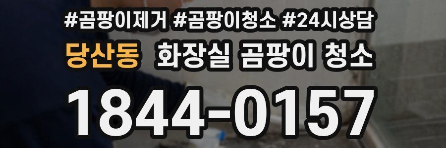당산동 화장실 곰팡이 청소