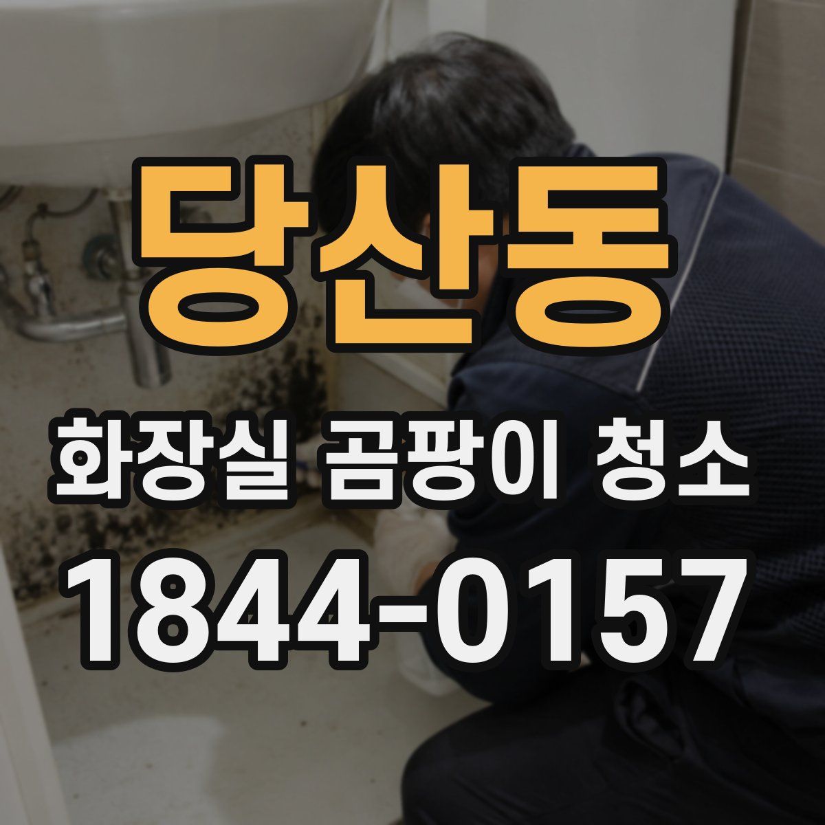 당산동 화장실 곰팡이 청소
