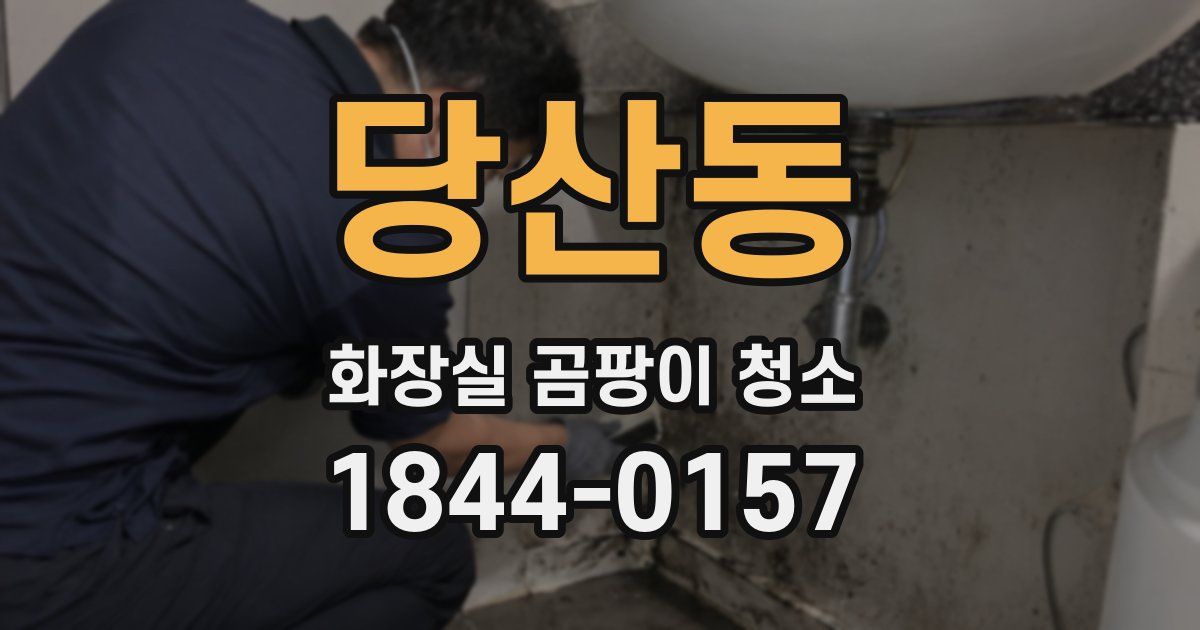 당산동 화장실 곰팡이 청소