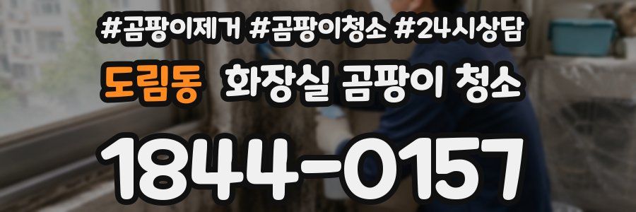 도림동 화장실 곰팡이 청소