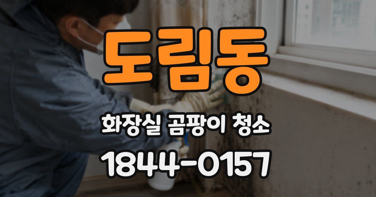 도림동 화장실 곰팡이 청소