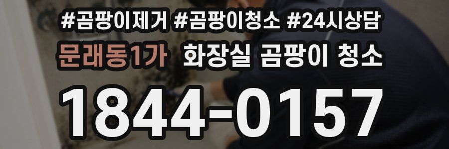 문래동1가 화장실 곰팡이 청소