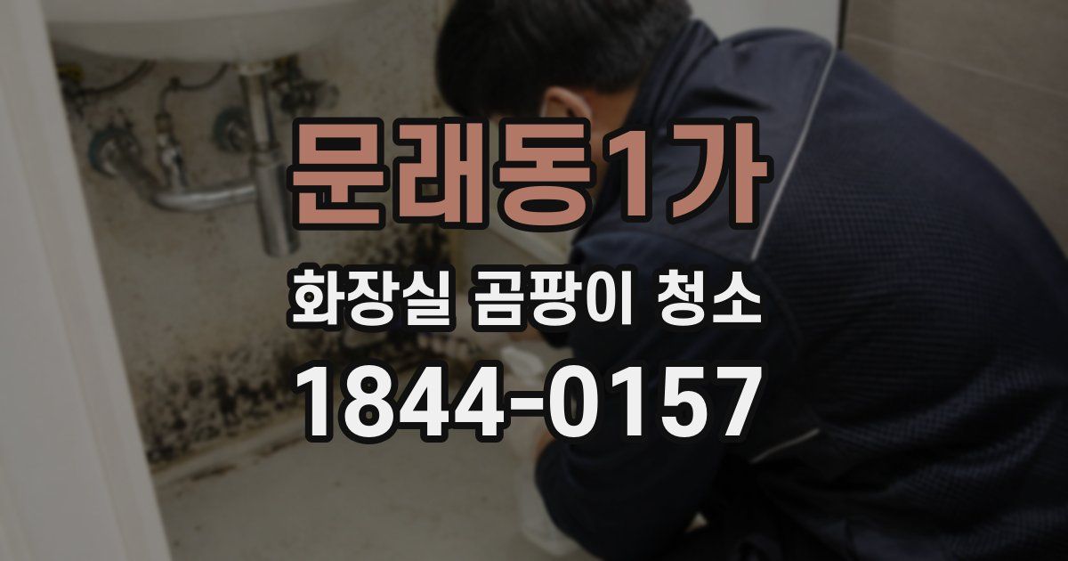 문래동1가 화장실 곰팡이 청소