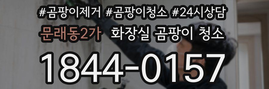 문래동2가 화장실 곰팡이 청소