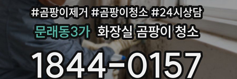 문래동3가 화장실 곰팡이 청소
