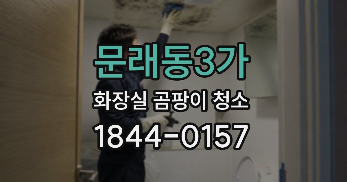 문래동3가 화장실 곰팡이 청소