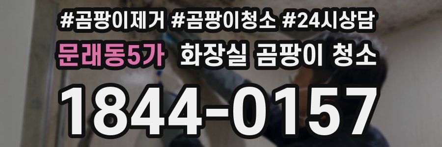 문래동5가 화장실 곰팡이 청소