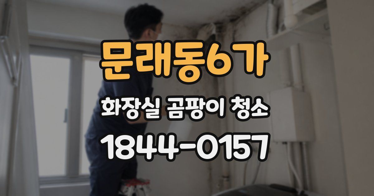 문래동6가 화장실 곰팡이 청소