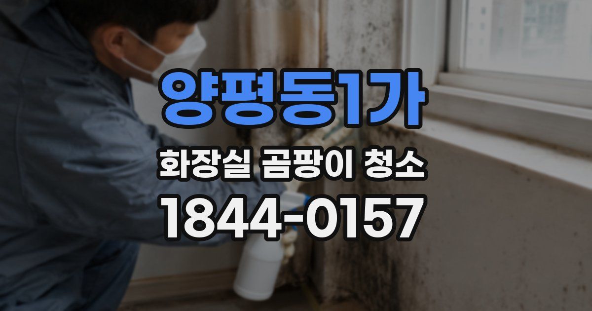 양평동1가 화장실 곰팡이 청소