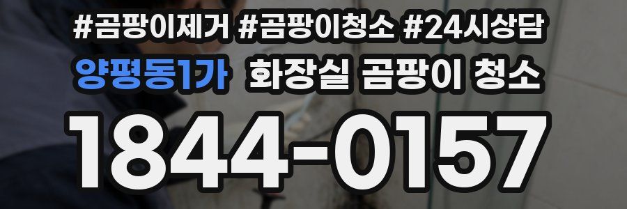양평동1가 화장실 곰팡이 청소