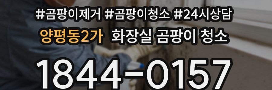양평동2가 화장실 곰팡이 청소