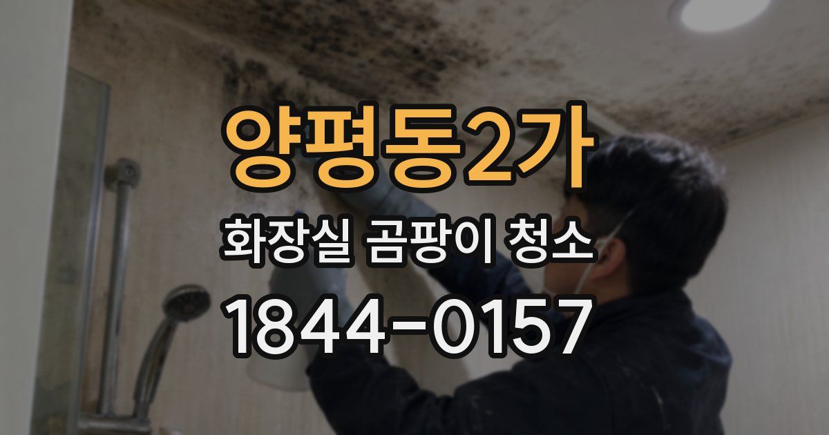 양평동2가 화장실 곰팡이 청소