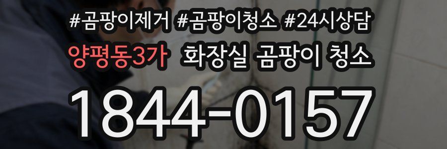 양평동3가 화장실 곰팡이 청소