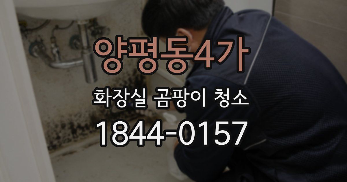 양평동4가 화장실 곰팡이 청소