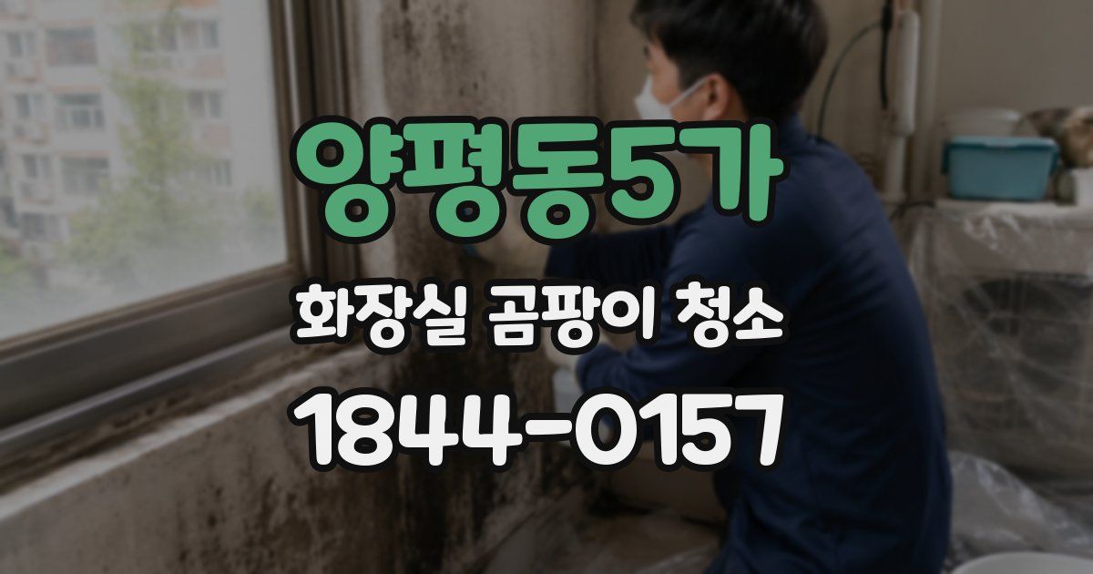 양평동5가 화장실 곰팡이 청소