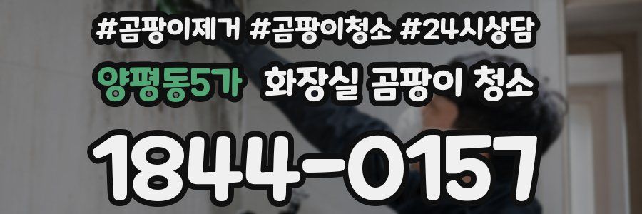 양평동5가 화장실 곰팡이 청소