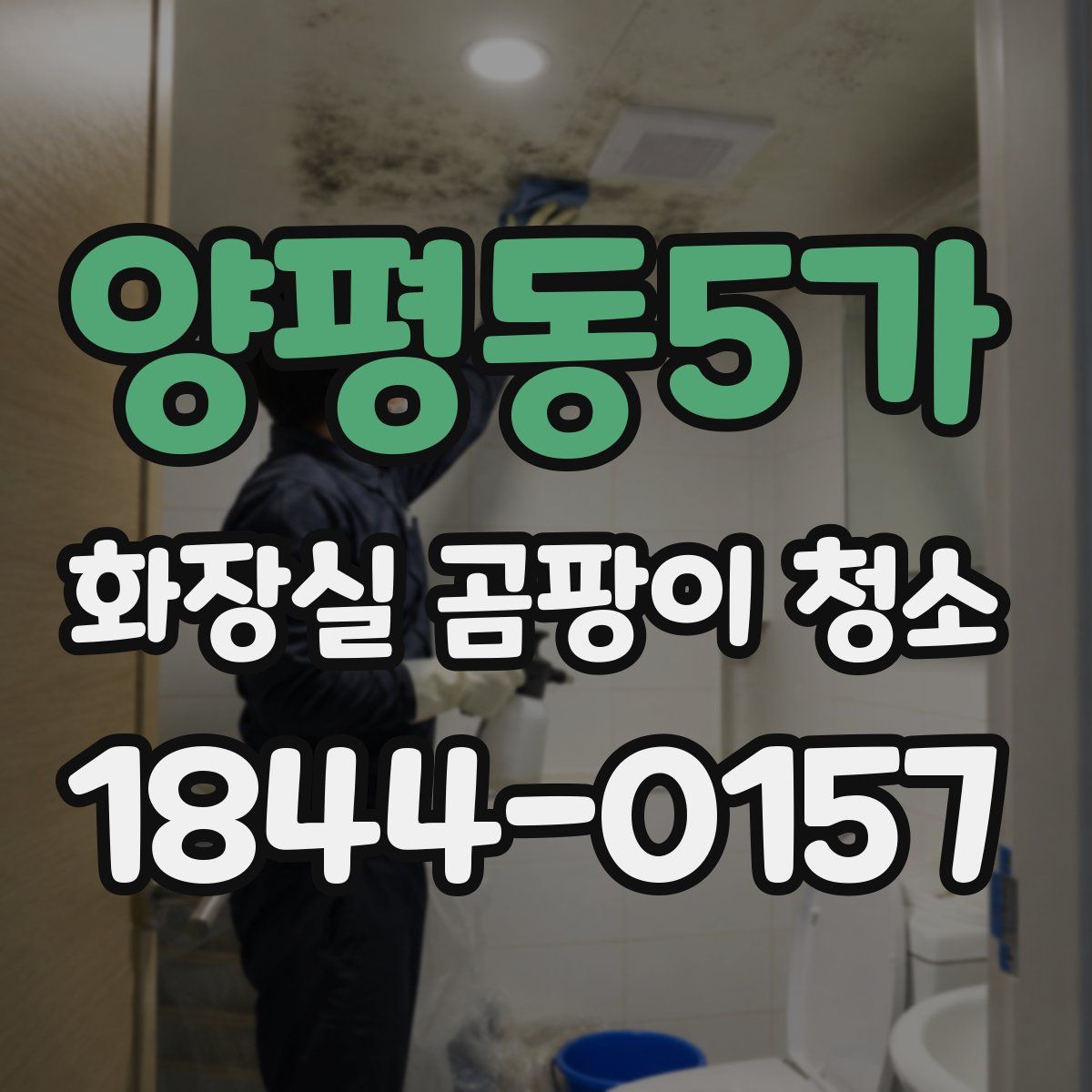 양평동5가 화장실 곰팡이 청소