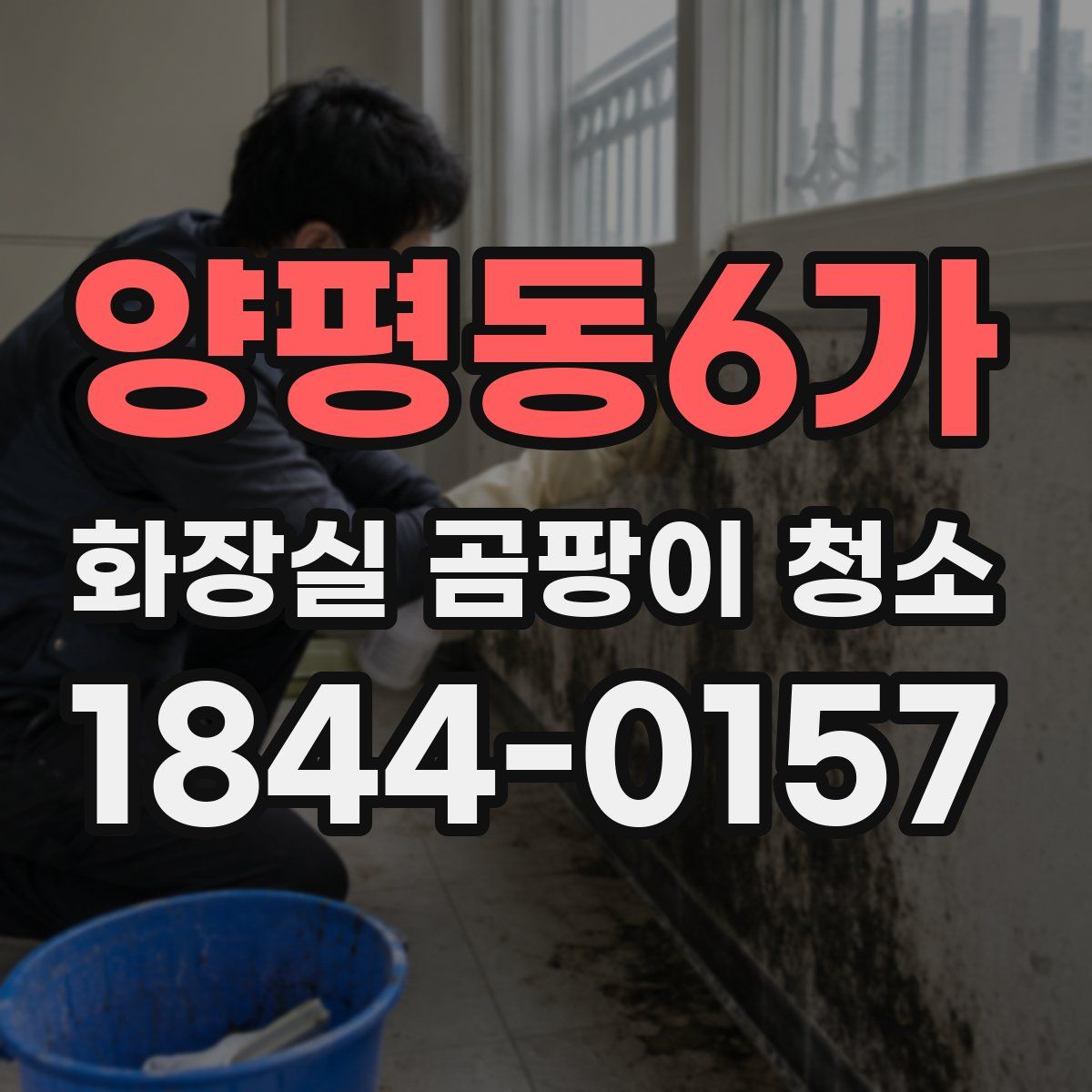 양평동6가 화장실 곰팡이 청소