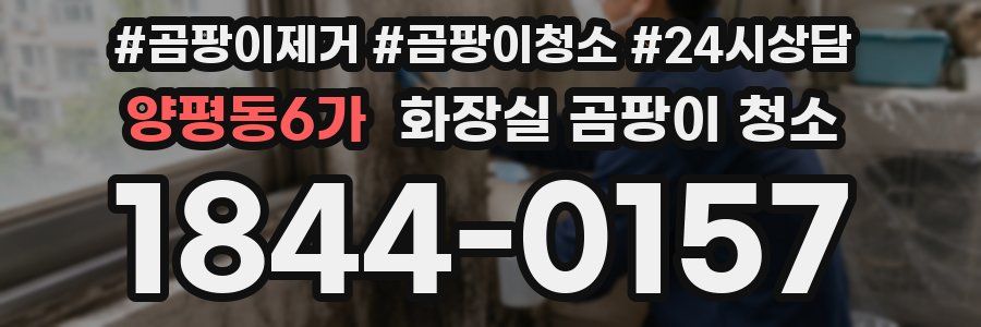 양평동6가 화장실 곰팡이 청소