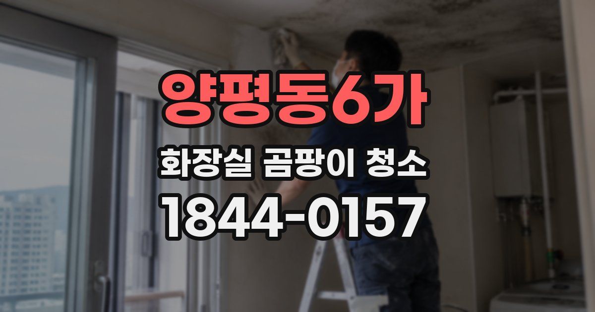 양평동6가 화장실 곰팡이 청소