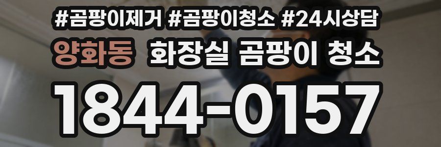양화동 화장실 곰팡이 청소