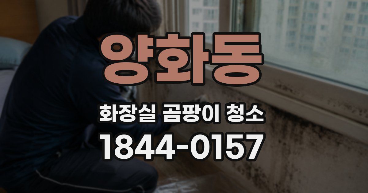 양화동 화장실 곰팡이 청소