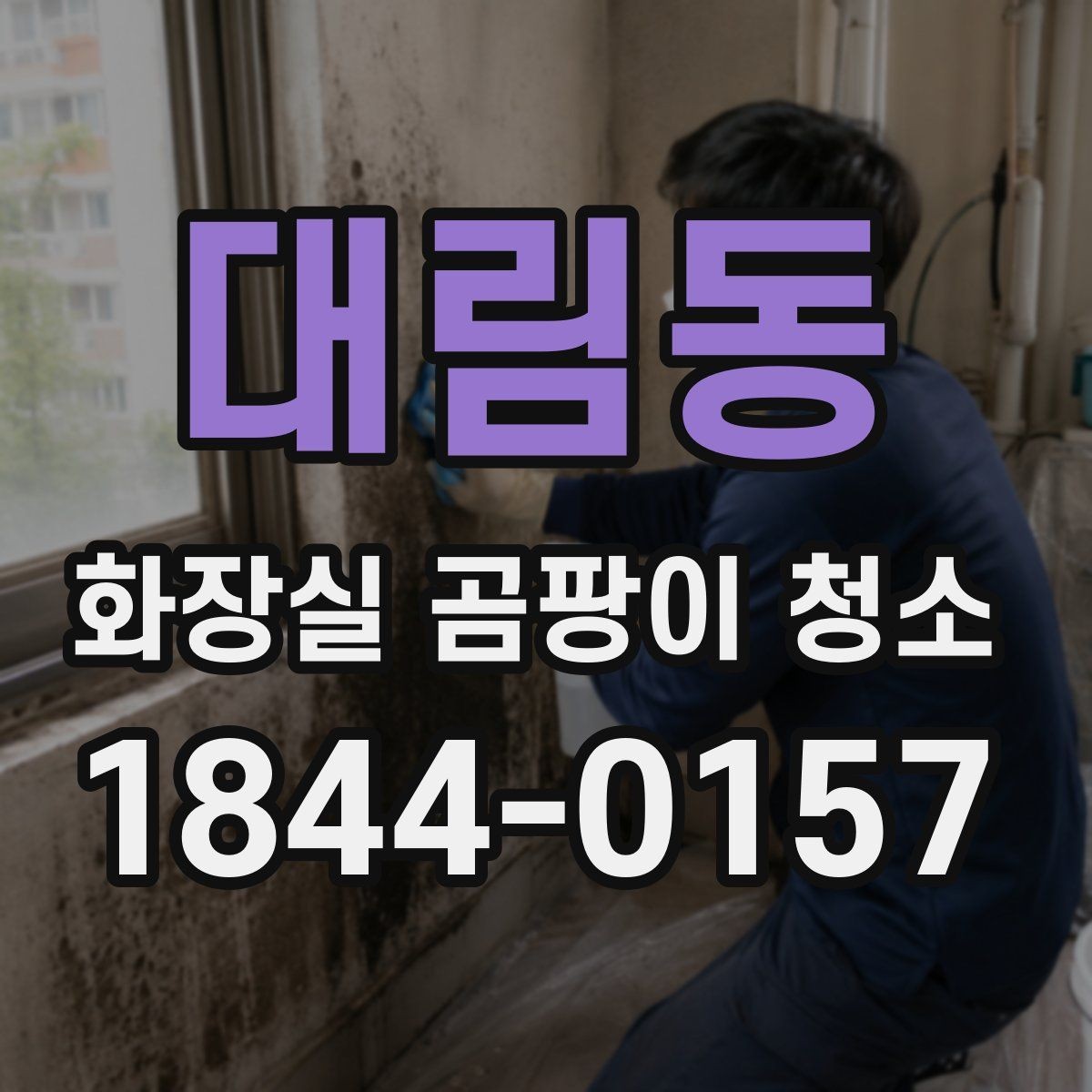 대림동 화장실 곰팡이 청소 습기 원인부터 확인하는 정리법