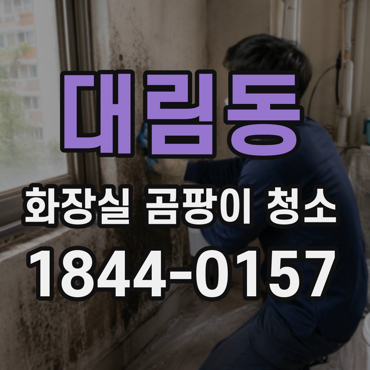 대림동 화장실 곰팡이 청소
