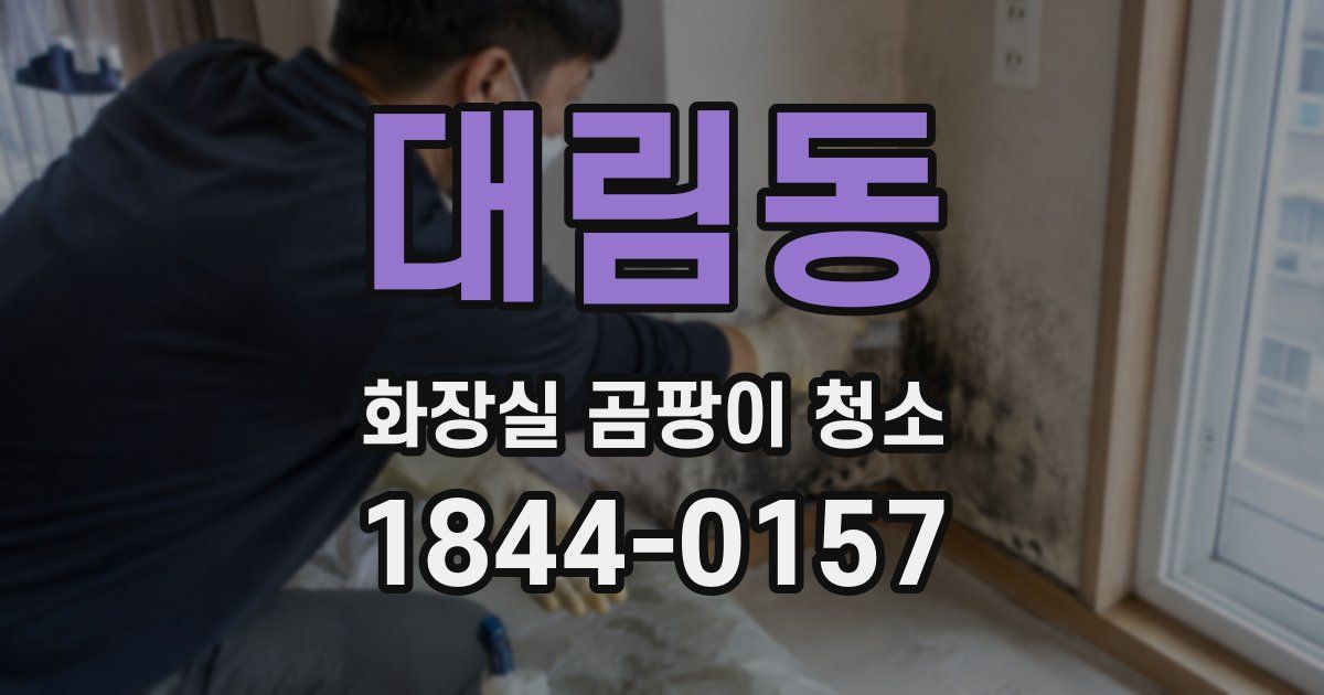 대림동 화장실 곰팡이 청소