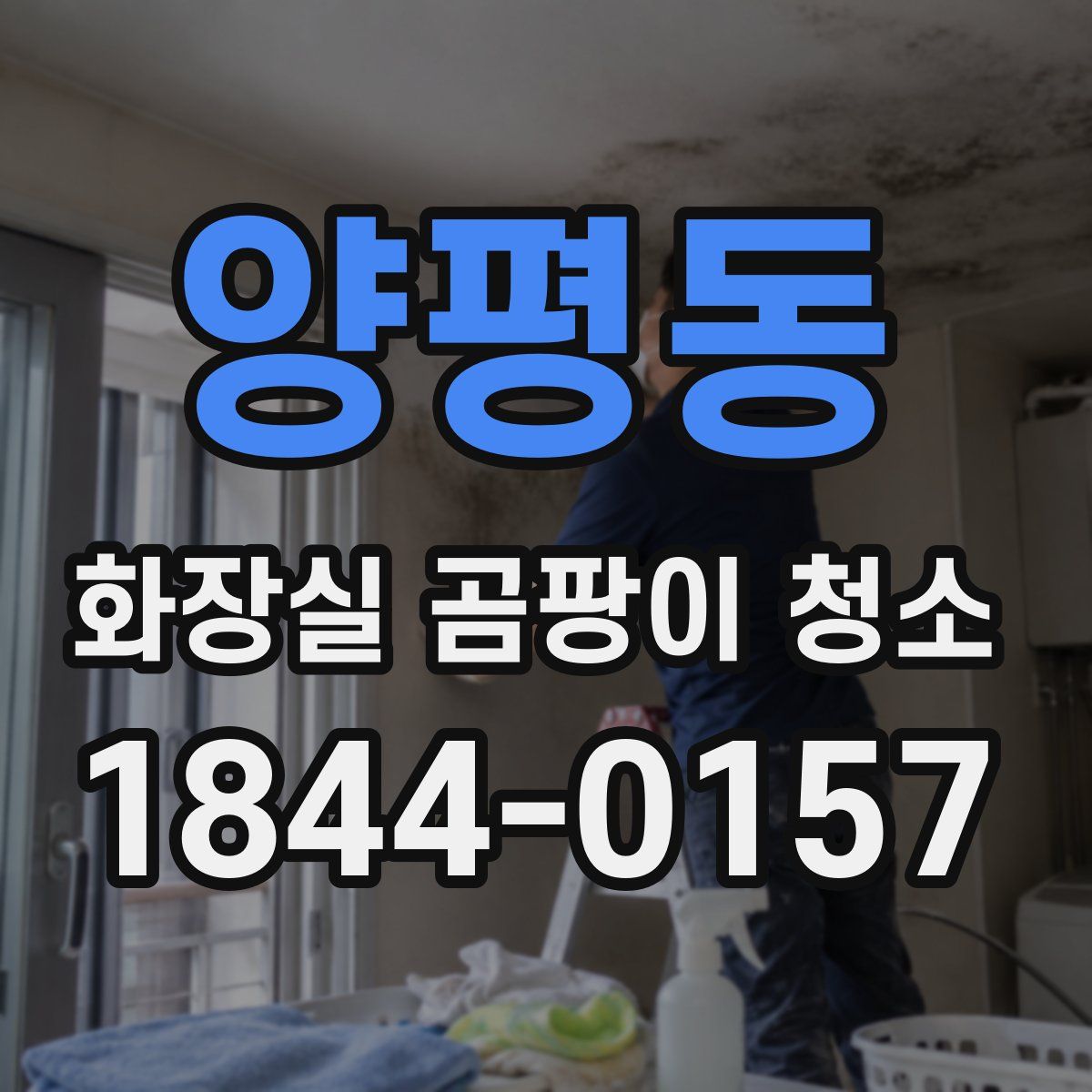 양평동 화장실 곰팡이 청소