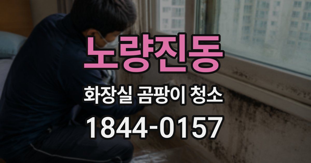 노량진동 화장실 곰팡이 청소