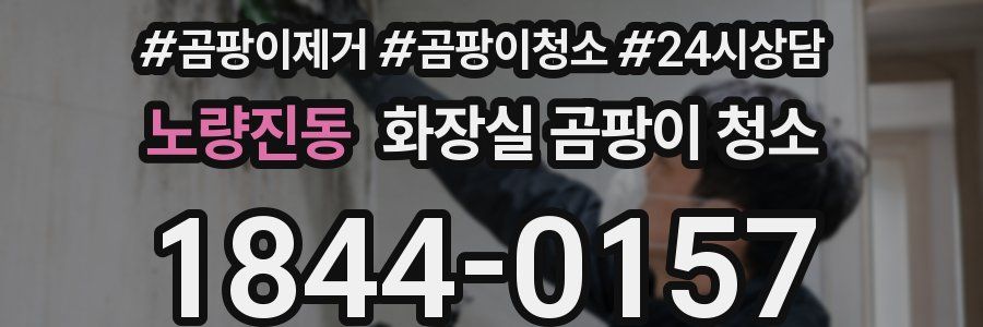 노량진동 화장실 곰팡이 청소